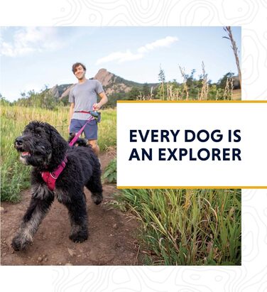 Нашийник для собак RUFFWEAR Web Reaction, гранітно-сірий, 43-51 см