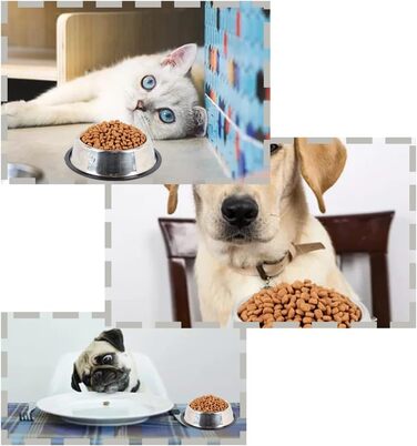 Набір з 3 мисок для котів з нержавіючої сталі, антиковзкі, для котів та кошенят