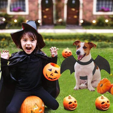 Костюм кажана для тварин: набір для кота та собаки, аксесуар для Хелловіну, косплей, вечірка, декор, чорний