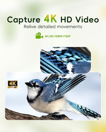 Розумний годівничка-відеокамера для птахів Hibird 32МП, 4K, AI, Wi-Fi, нічне бачення, 10000мАг, 32ГБ