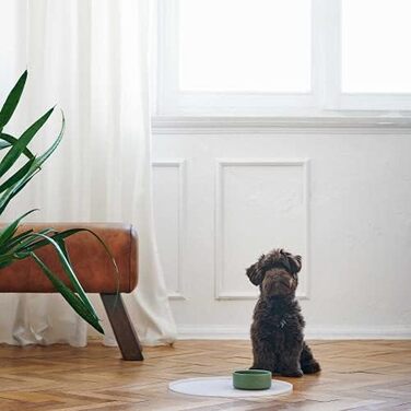 Підкладка для сонячних окулярів HUNTER Selection кругла, прозора (38 см)