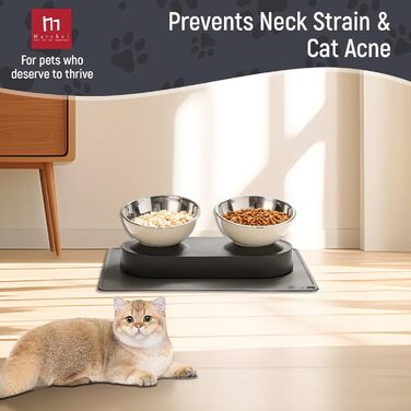 Набір мисок для котів та маленьких собак Marchul: подвійні, з підставкою, з нержавіючої сталі, 15° нахил, з силіконовим килимком