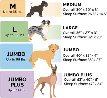 Ліжко для собак Furhaven великого розміру з ортопедичним матрацом, стиль дивана, знімний чохол, велике (135 x 102 x 24 см, блакитно-горіховий)