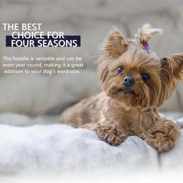 Світшот для собак Чіхуахуа з капюшоном, чорний, з написом 'The Dog Face', розмір Small