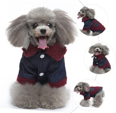 ERINGOGO Зимовий теплий водонепроникний одяг для собак, XL, для активного відпочинку та фотосесій