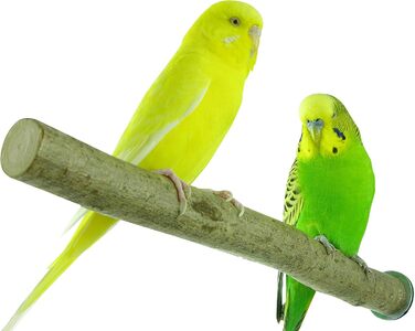 VogelKing комплект із 9 сідал для птахів із натурального дерева, різні розміри (3×14 см, 3×20 см, 3×26 см), для хвилястих папуг, амадин, корел, папуг та інших, набір сідал для клітки