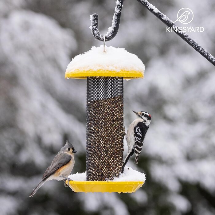 Автомат для годування птахів Kingsyard Distelfinken, нержавіюча сталь, годівниця для насіння Niger/Stieglitz, 1,1 кг, великий об'єм, антик-мідь (жовтий)