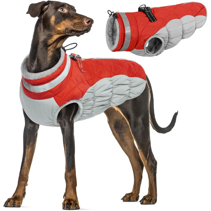 Водонепроникний зимовий теплий одяг для собак: куртка, жилет, пуховик, светр з кільцями D (червоний, 2XL) XXL Червоний