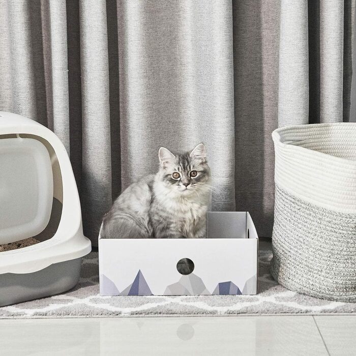 5-Piece Conlun Cat Scratch Box Set with Scratching Pad - Large, White