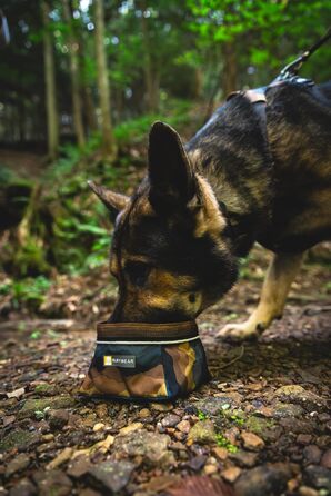Ruffwear Quencher: Портативний складний миска для води для собак, Ruffwear, Spring Mountains M