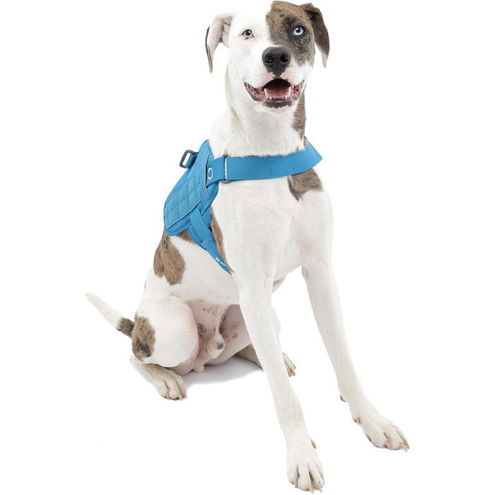 Шлейка для собак Kurgo RSG, навчальна жилетка з ручкою, світловідбиваюча, сумісна з MOE, чорна, для собак середніх розмірів