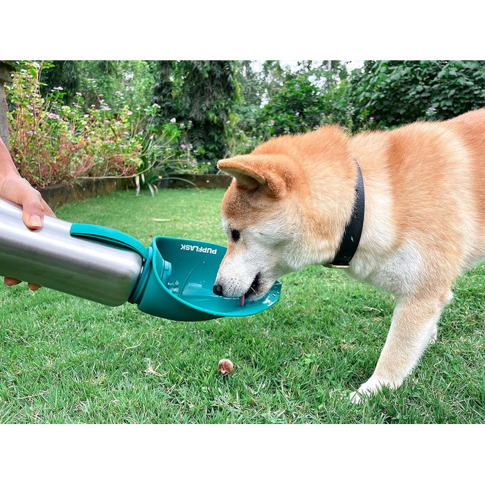 PupFlask пляшка для води для великих собак 800/1200 мл, нержавіюча сталь, портативна поїлка для собак і цуценят, герметична, для подорожей, підходить для всіх порід
