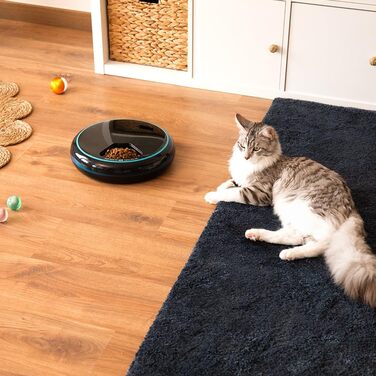 Автоматичний годівниця для домашніх тварин Cecotec Pumba 1600 Purrfect Meal - 1.6 л, 4 відділення, таймер, LED-дисплей, голосовий рекордер