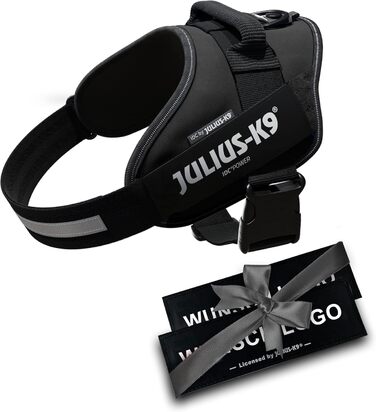 Шлейка Julius K-9 IDC Powergeschirre Anthrazitgrau з індивідуальним написом, для собак маленьких, середніх та великих порід, 16IDC+CUSTOMP-ANT
