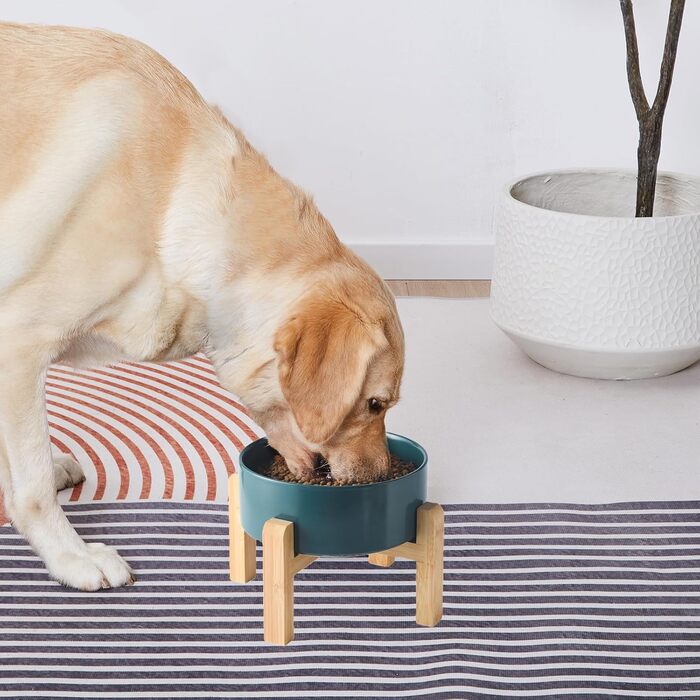Керамічна годівниця для тварин Welloyed з піднятим, антиковзним підставкою з бамбука, 20,3 см, підходить для миття в посудомийній машині та мікрохвильовці, запобігає блювоті, міцна годівниця для середніх порід