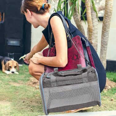 Дихаючий переноска для кошенят та собак від NUOBESTY - легкий, м'який рюкзак-переноска для маленьких котів та собак, ідеальний для подорожей