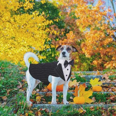 Смокінг для собак середнього та великого розміру, костюм, набір для косплею, святковий набір для собак L: обхват грудей 53-65 см, чорно-білий