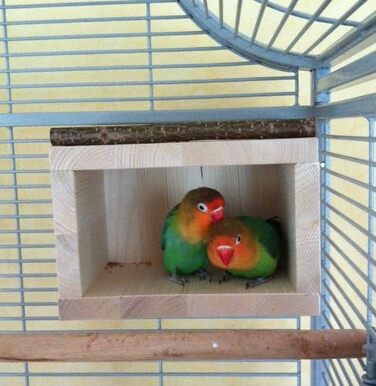 Дерев'яний будиночок Vogelgaleria® для птахів – спальне та захисне житло для клітки або вольєра, аксесуар для хвилястих папуг, агапорнісів, корел, дерев'яний будиночок для птахів