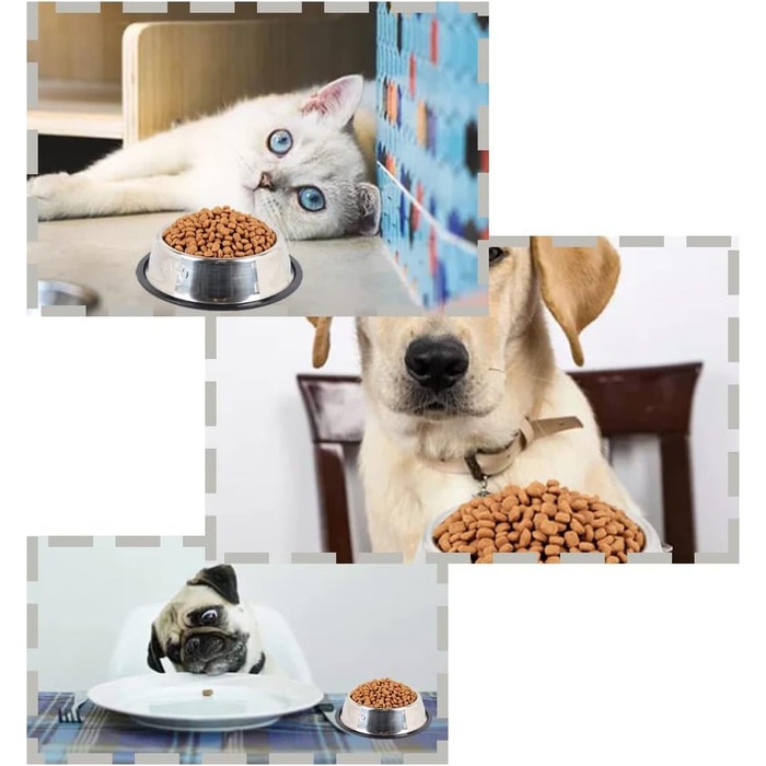 Набір з 3 мисок для котів з нержавіючої сталі, антиковзкі, для котів та кошенят