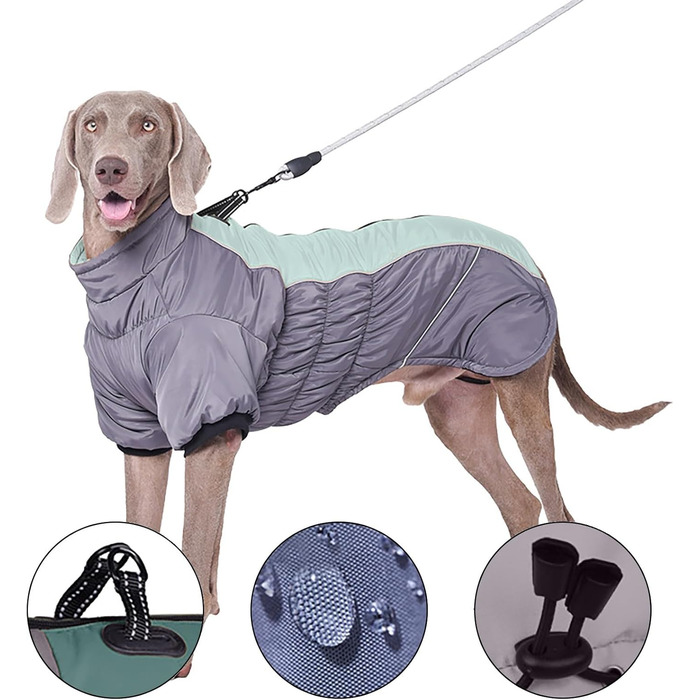 Зимові куртки для собак з шлейкою, теплі та зручні для холодної погоди. Відображають світло, підходять для малих, середніх та великих собак. Куртка, жилет, тепла шерсть, комфортний вибір для вашого улюбленця.