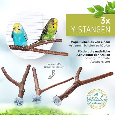 Набір дерев'яних сідал Vogelgaleria 10 шт. для птахів з безкоштовною гойдалкою та 3 Y-подібними сідалами для хвилястих папуг, корел та інших