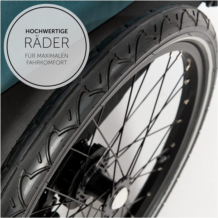 Дитячий велопричіп 2в1 Hauck Dryk Duo Petrol