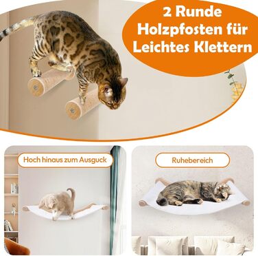 Настінна гамак для котів, комплект для лазіння з масиву дерева з котячою сходинкою - стабільне котяче ліжко, економне місце для сну, лазіння та відпочинку (гамак для котів + 2 сходинки)