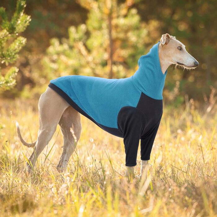 Пуловер з коміром-стійкою для породи Віндхаунд, теплий зимовий пуловер для Віндхаундів, куртка для Лурчерів, пуловер для собак середнього розміру, собачий світшот (Синій, M) M Синій