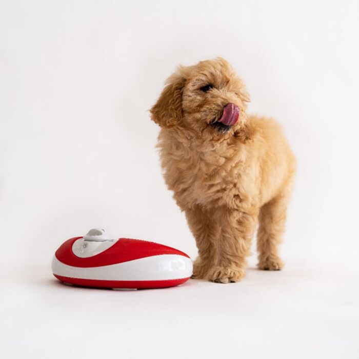 Автоматична поїлка Torus Pet Mini 1 л, червона, з фільтрацією, для котів та малих собак, портативна, антимікробна, BPA Free