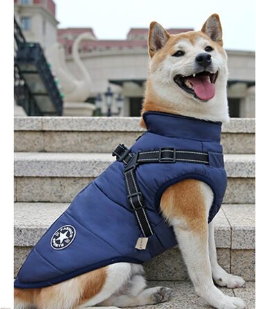 Водонепроникний жилет для собак на зиму Ectkuee, для маленьких собак, з D-порогом, блакитний (M)