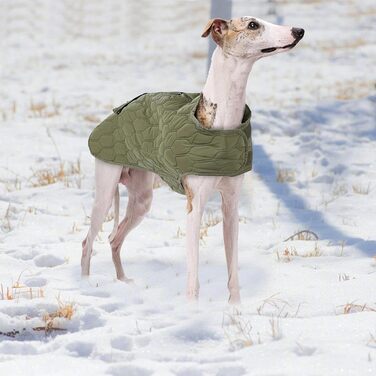 Зимовий теплий одяг для собак: тепла жилетка та куртка для будь-якої породи | Браун