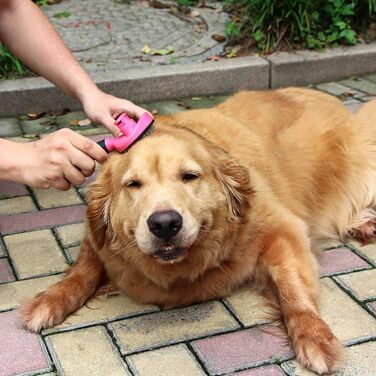 Uhomy Щітка для грумінгу домашніх тварин, самоочисна, для собак та котів, видаляє ковтуни та бруд