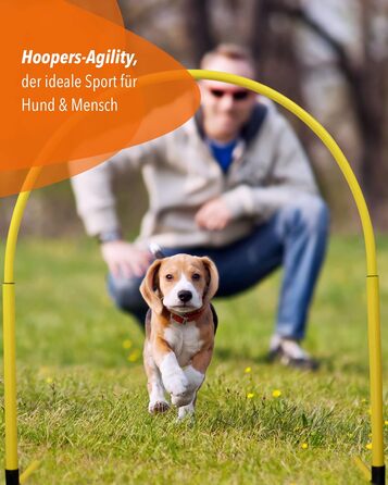 SPORTIKEL24 Superhund Hoopers Hoop – іграшка для аджиліті собак, кільця для хоперс, пластик, блакитна основа з кольоровими арками, VDH-сертифікована, гнучка, стійка до погодних умов (блакитний/жовтий)