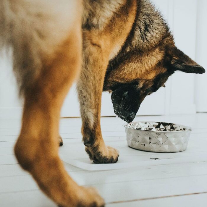 Миска для тварин Hunter Namy 3800 мл, нержавіюча сталь, срібляста