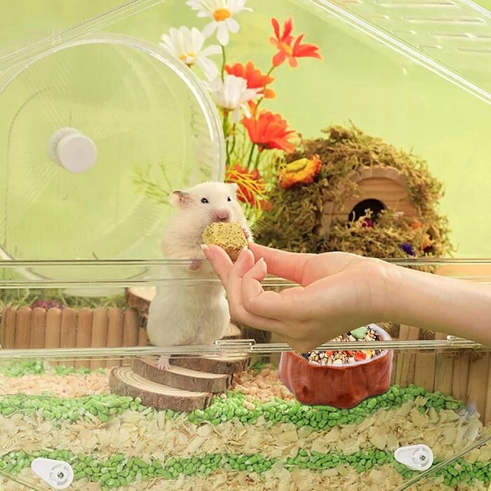 Миска для тварин ANMOO: керамічна годівниця для хом'яків, щурів та інших дрібних тварин