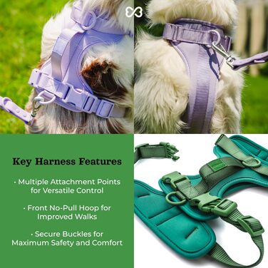 Антизахисна шлейка для собак Easy Walk BearBone з ручкою, повідцем і нашийником, для малих, середніх і великих порід, зелена