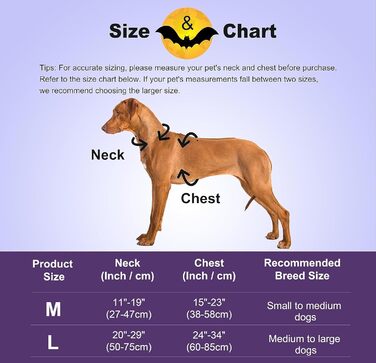 Костюм на Хелловін для собак: кажани, дракони, птахи. Підійде для великих, середніх та маленьких собак. (Чорні крила кажана, срібні крила дракона)