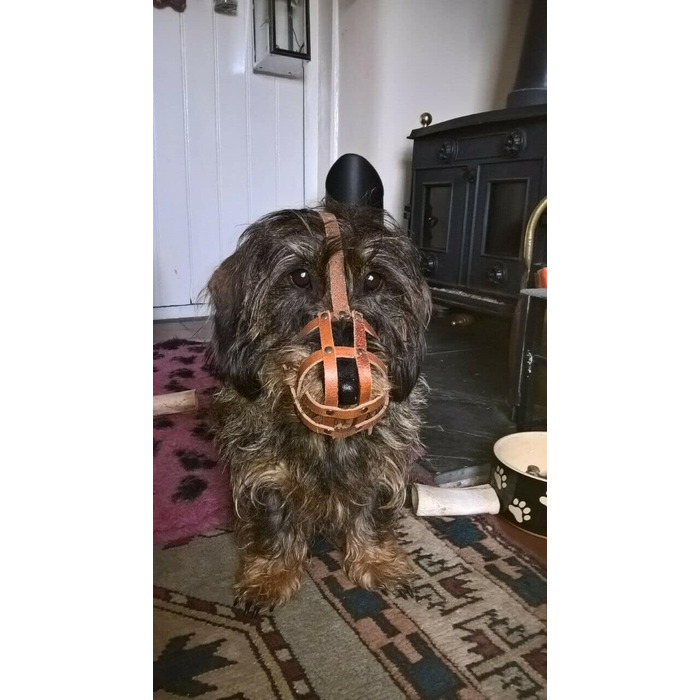 Шкіряний нашийник-маска для собак L&J Pets (для спанієлів, пуделів, хаскі та інших собак з подібним розміром морди, Колір: Коричневий, Розмір: 5)