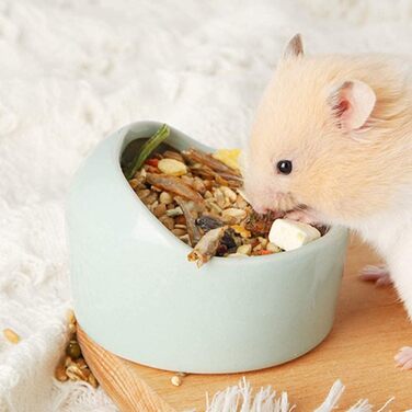 Набори керамічних годівниць для хом'яків, рептилій та черепах RoadLoo (3 шт.)