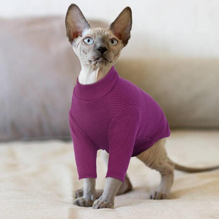 Одяг для безшерстних котів Sphynx: м'який пуловер з ролeкроєм та футболка з круглим вирізом (Чорний, XXL)