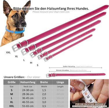 Шкіряне нашийник для собак Fun Line - великий, середній та маленький, з підкладкою, міцний (28-36 см, блакитно-коричневий)