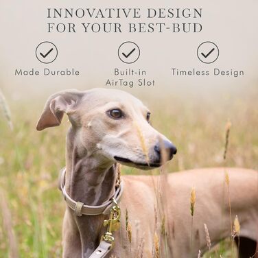 NINA WOOF ошийник для собак з веганської шкіри, сумісний з Apple AirTag, розмір S (12-15 см), для повідків та шлеї, преміум-якість