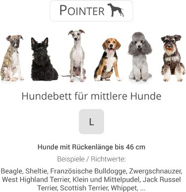 Ортопедичне ліжко для собак середніх порід - ліжко з знімним матрацом, прання до 95°C, сушка в сушильній машині, стійке до подряпин та укусів, Made in Germany (L - 80x70 см, Антрацит)