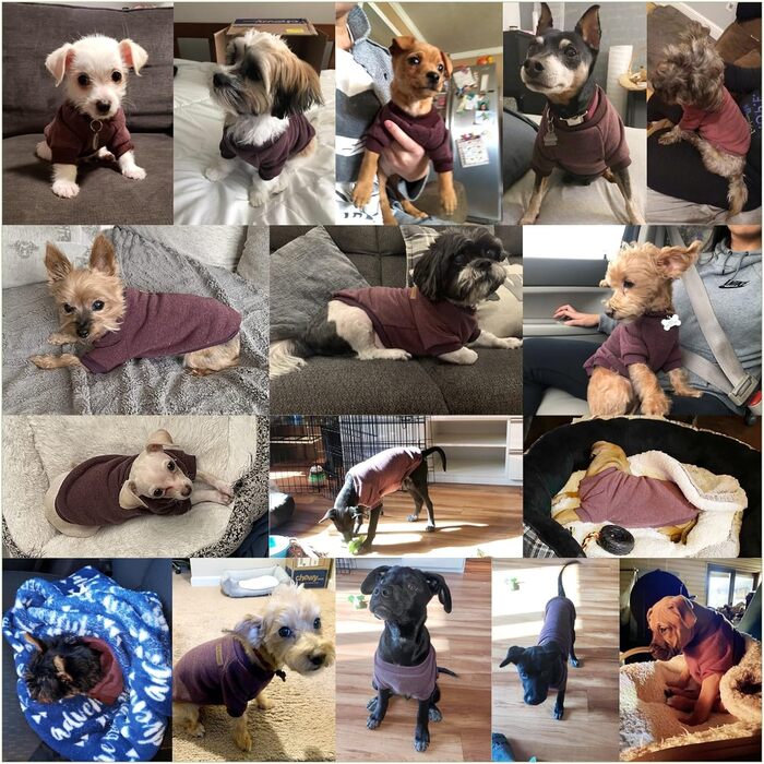 Пуловер для собак Jecikelon, теплий, зелений, зимовий, для цуценят, розмір X-Large