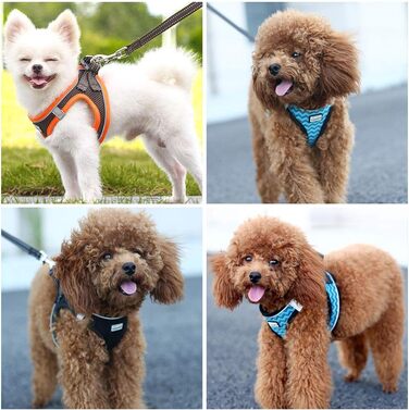 Нашийник для собак з повідком Anti-Pull, світловідбиваючий, для малих собак, кошенят, чорний, розмір M