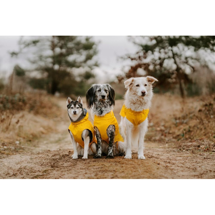 Жовтий дощовик для собак Hunter Milford, розмір 75, поліестер