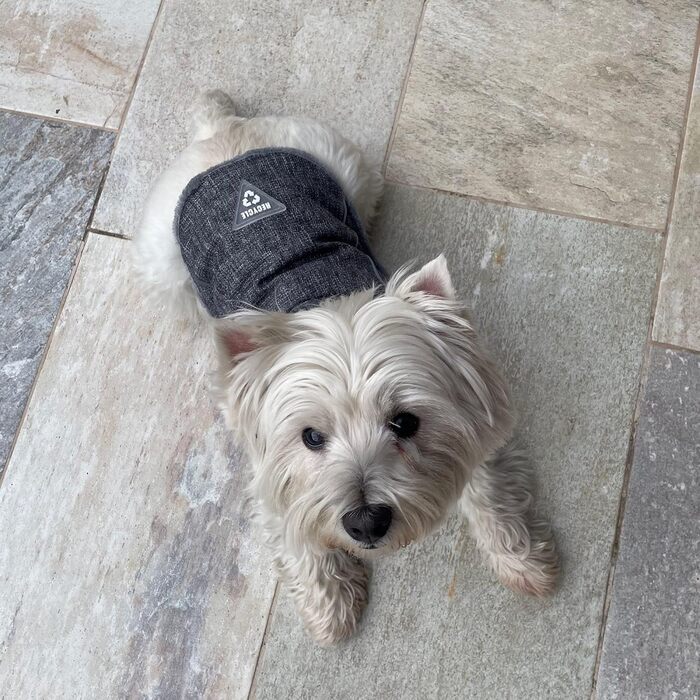 Ліжко для собак United Colors of Benetton, середнього розміру, сіре, 65 см, з поліестеру, ергономічне, для прання в машині