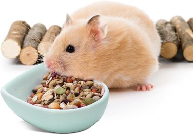 Набір мисок для тварин: хом'яки, їжаки, миші, морські свинки, серцеподібна форма, 3 шт.