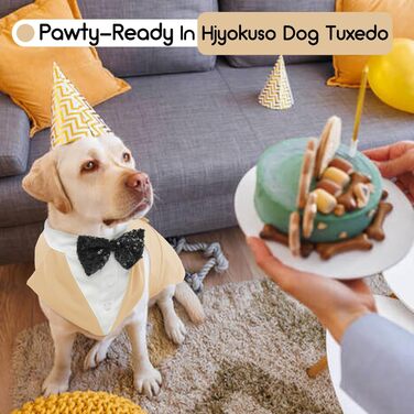 Костюм для собак, бандана, аксесуари для святкування: весілля, день народження, Хелловін (XXL, шампань)