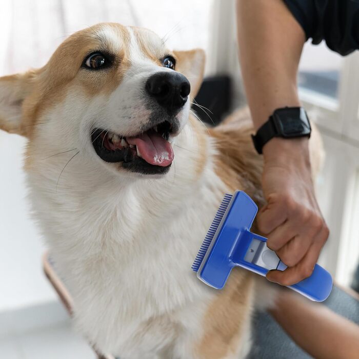 Щітка для собак та котів, професійна для грумінгу, 15x10 см, блакитна